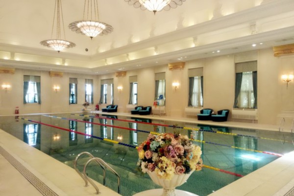 成都茶文化：猫哥带你品茗养生休闲时光(成都喝茶猫)