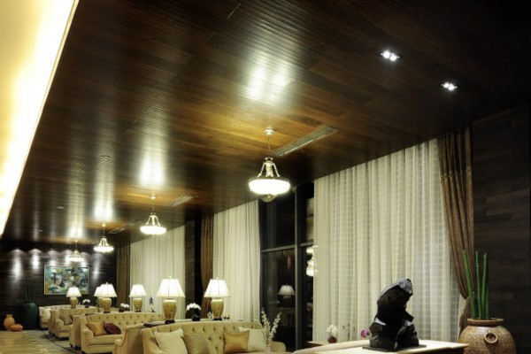 喝茶谈成都：方言魅力里的生活画卷